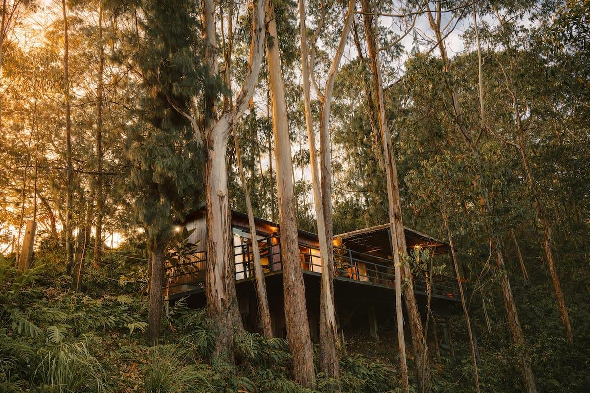 Casa de madera elevada entre eucaliptos al atardecer en Rionegro, Antioquia, rodeada de naturaleza exuberante