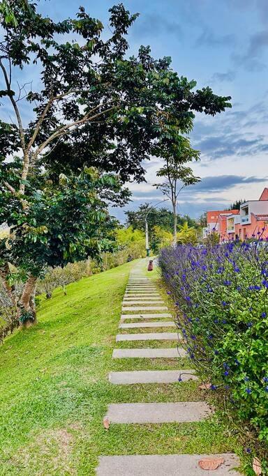 Camino de piedras rodeado de flores moradas y árboles verdes en jardín de casa en Rionegro